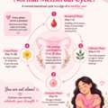 What Is A Normal Menstrual Cycle? Understanding Cycle Length, Phases & Symptoms | Period S