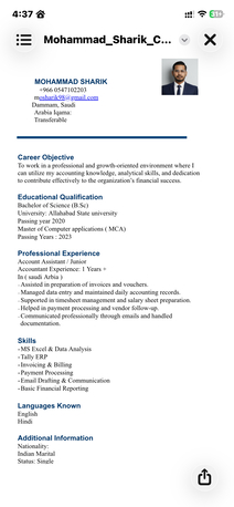 Dammam, Job Seekers, I Am Looking A Job For Professional Data Entry Accountant