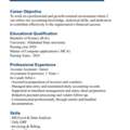 I Am Looking A Job For Professional Data Entry Accountant