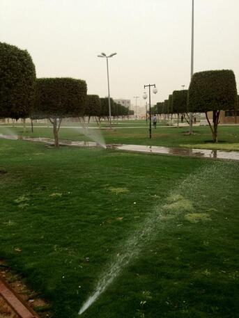 Riyadh, Farm/Garden, 🌿✨ Turn Your Outdoor Space Into A Green Paradise!