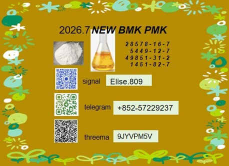Tirana, Childcare Job Seekers, BMK 5449-12-7 PMK 28578-16-7 High Cost Performance Practical