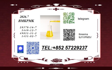 Tirana, Childcare Job Seekers, BMK 5449-12-7 PMK 28578-16-7 High Cost Performance Practical