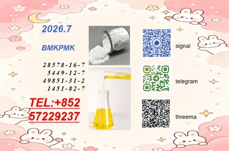 Tirana, Childcare Job Seekers, BMK 5449-12-7 PMK 28578-16-7 High Cost Performance Practical