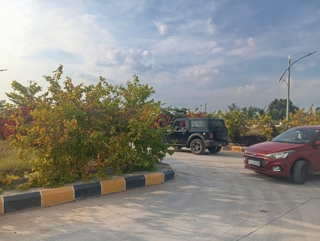 Hyderabad, Residential Plots, INR 28999,  280 Sq. Yard,  Premium Gated Plots In Gollur - Vasudaika Henley Woods, 6305534817*
