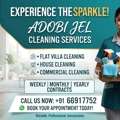 2 BD Per Hour Cleaning Services