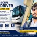 Professional Bus Driver Available For Job