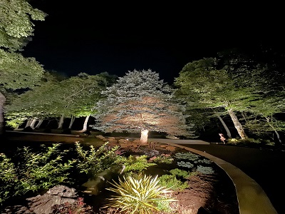 Miami, Business, Outdoor Lighting In Fort Lauderdale