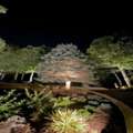 Outdoor Lighting In Fort Lauderdale