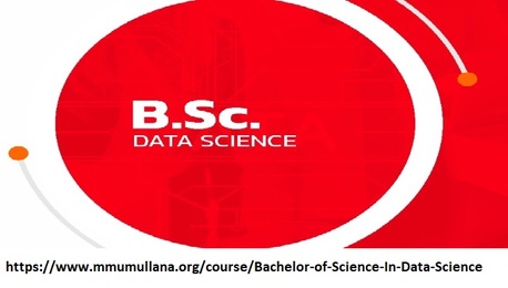 Haryana, Education, B Sc Programming And Data Science