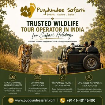 Gurgaon, Travel, Trusted Wildlife Tour Operator In India For Safari Holidays