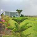INR 1680000,  1200 Sq. Feet,  Premium Residential Plots For Sale In Ballari | Gated Community | Bluejay Anandavana
