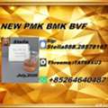 CNY 100,  International Trade New PM.K 28578-16-7/ BM.K CAS:5449-12-7/