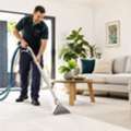 Professional Carpet Cleaning Kingsley For Homes And Offices