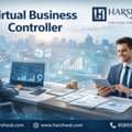 Trusted Virtual Business Controller Services Online