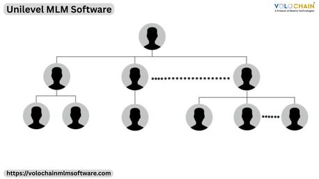 Noida, Software Development, Transform Using Unilevel MLM Software For Sustainable Business Growth