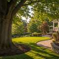 Professional Tree Service In Rockland County, NY