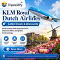 KLM Royal Dutch Airlines Latest Deals & Flight Discounts | Tripnestify