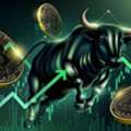 Index Infotech: The Best Algo Trading Software In India For 2026