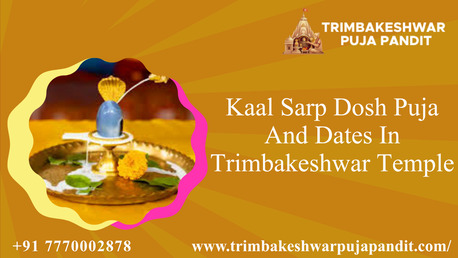 Mumbai, Career Counseling, Kaal Sarp Dosh Puja And Dates In Trimbakeshwar Temple