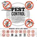 Pest Control Termite Fumigation Services Available