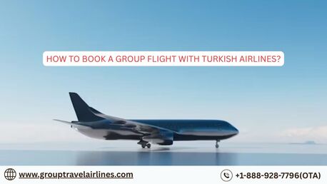 New York, Travel, How To Book A Group Flight With Turkish Airlines?
