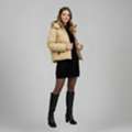 USD 249,  Buy Best Quality Jackets Online In USA