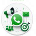 INR 999,  Whatspp Business Api