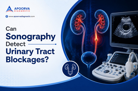 Indore, Health, Can Sonography Detect Urinary Tract Blockages?