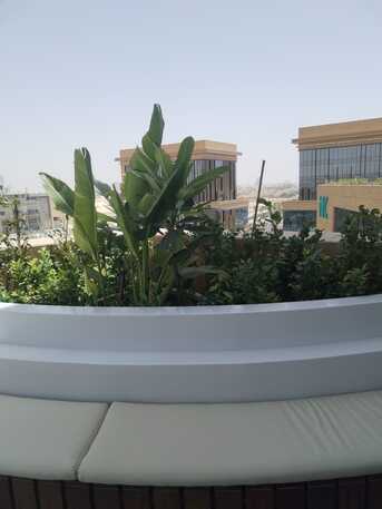 Al Malqa, Farm/Garden, تنسيق الحدائق في الرياض | توريد وتركيب النب
