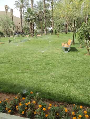 Al Malqa, Farm/Garden, تنسيق الحدائق في الرياض | توريد وتركيب النب