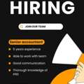 Senior Accountant