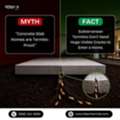 Myth Vs Fact