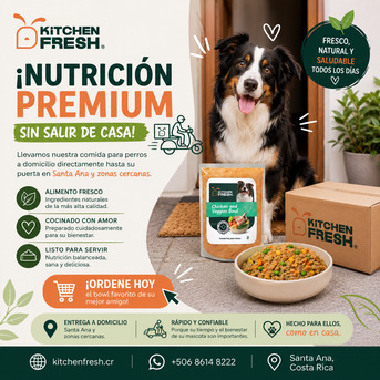 San José, Pet Supplies, CRC 3717,  Comida Casera Para Perros