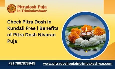 Mumbai, Travel, Check Pitra Dosh In Kundali Free | Benefits Of Pitra Dosh Nivaran Puja