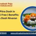 Check Pitra Dosh In Kundali Free | Benefits Of Pitra Dosh Nivaran Puja