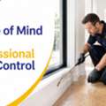 Pest Control Eltham For Homes And Businesses