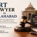 DRT Lawyer In Allahabad &ndash; Support For DRT And SARFAESI Matters