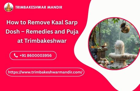 Mumbai, Business, How To Remove Kaal Sarp Dosh &ndash; Remedies And Puja At Trimbakeshwar
