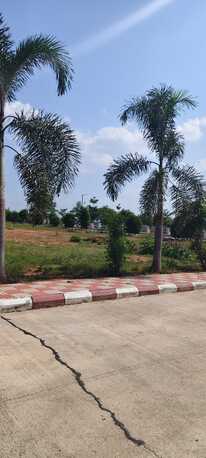 Hyderabad, Residential Plots, INR 21000,  150 Sq. Yard,  HMDA RERA Approved Plots Near E-SEZ @Maheswaram