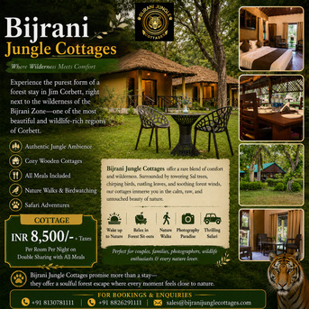 Mumbai, Event Planning, Jungle Safari In Jim Corbett | Stay Near Bijrani Zone