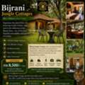 Jungle Safari In Jim Corbett | Stay Near Bijrani Zone