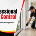 Pest Control Oakleigh For Homes And Businesses