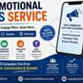 Professional Promotional SMS Service To Expand Your Business Reach