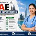 Build Your Nursing Career In The UAE