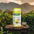 INR 849,  Premium Darjeeling Green Tea For A Refreshing Tea Experience | Marvel Tea