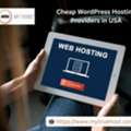 Choose Top WordPress Hosting Providers In USA Today