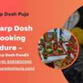 Kaal Sarp Dosh Puja Booking Procedure &ndash; Best Kaalsarp Dosh Pandit