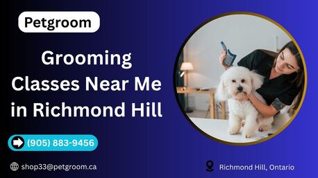 Toronto, Beautician, Grooming Classes Near Me | Professional Pet Grooming Training By Petgroom