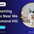 Grooming Classes Near Me | Professional Pet Grooming Training By Petgroom