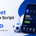 USD 5000,  Top Rated 1xbet Clone Script Sports Betting Platform Development Solution